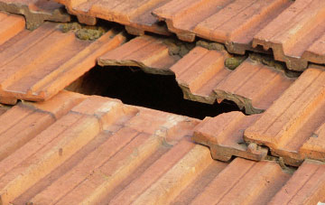 roof repair Lyngate, Norfolk